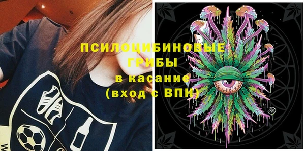 дурь Арсеньев
