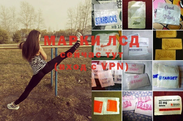 дурь Арсеньев