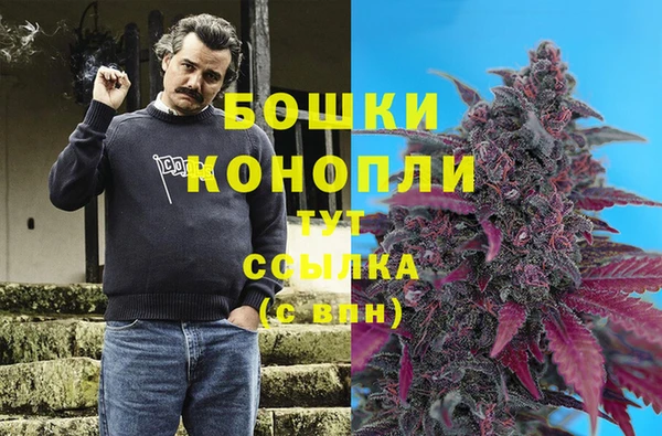 дурь Арсеньев