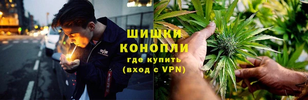 дурь Арсеньев