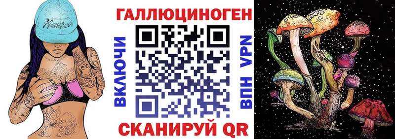 Галлюциногенные грибы Psilocybine cubensis Судогда