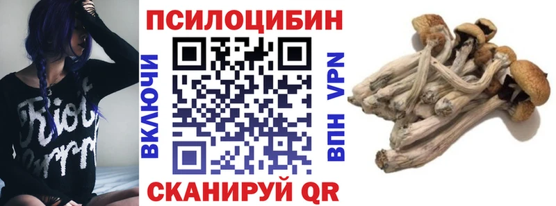 Галлюциногенные грибы мухоморы Судогда
