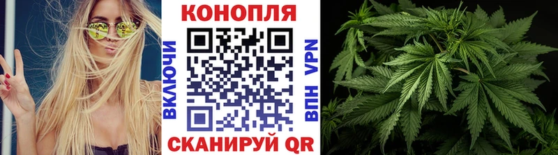 Конопля LSD WEED Судогда