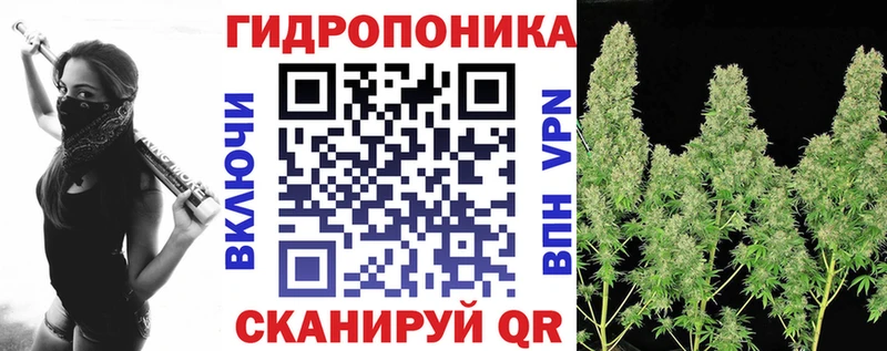закладки  omg онион  Шишки марихуана Amnesia  Судогда 